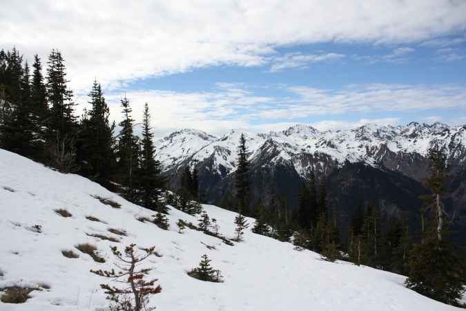 The view from MArmot Pass looking west, Olympic National Park