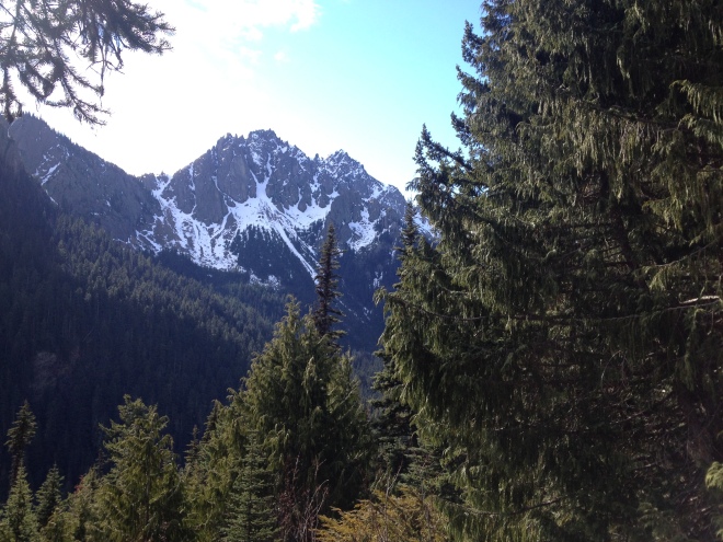 View from the trail to Marmot Pass, Olympic National Park