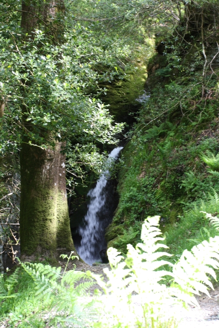 Poulanass Falls, Glendalough Valley, Wicklow Mountains National Park, Ireland