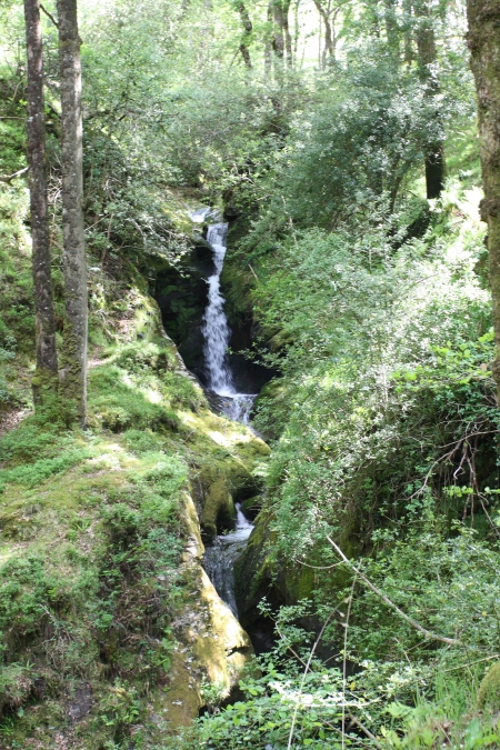 Poulanass Falls, Glendalough Valley, Wicklow Mountains National Park, Ireland