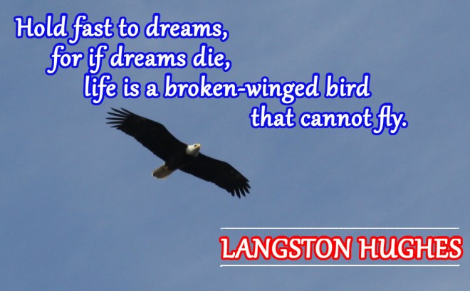 Eagle with Langston Hughes quote
